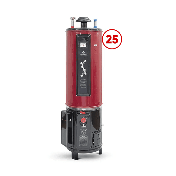 Nasgas Geyser DEG-25 Heavy 25-Gallon (Electric+Gas) Storage type, Auto Ignition
